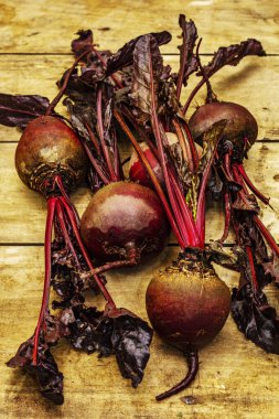 Antika ahşap tahta masa yapraklı taze pancar kökü. Sağlıklı bitki temelli gıda, yerel ürün hasadı, yakın plan.