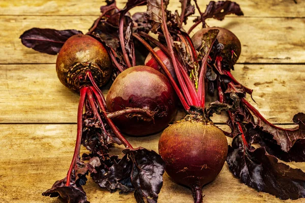 Fresh homegrown beetroot with leaves on vintage wooden boards table. Healthy plant based food, local produce harvest, close up