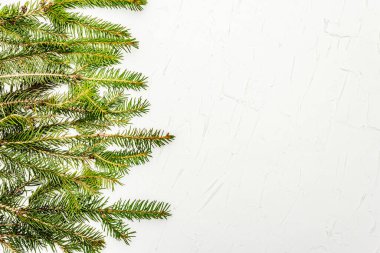 Beyaz macun arka planda noel ağacı dalları. Yeni yıl tebrik kartı konsepti, üst görünüm