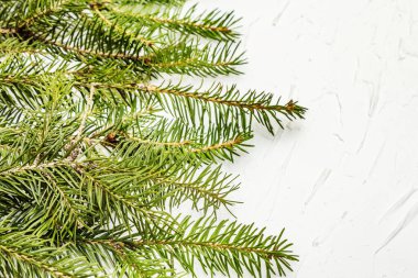 Beyaz macun arka planda noel ağacı dalları. Yeni yıl tebrik kartı kavramı, kopyalama alanı