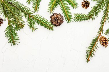 Beyaz macun arka planında çam kozalakları olan Noel ağacı dalları. Yeni yıl tebrik kartı konsepti, üst görünüm