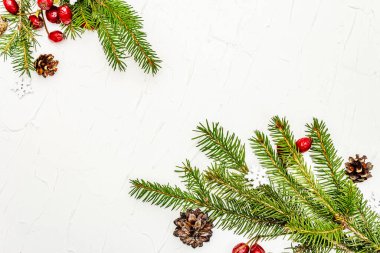 Çam kozalaklı Noel ağacı dalları ve beyaz macun arkaplanlı gül üzümü. Yeni yıl tebrik kartı konsepti, üst görünüm