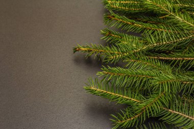 Siyah taş arkaplanda Noel ağacı dalları var. Yeni yıl tebrik kartı kavramı, kopyalama alanı