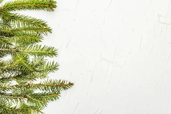 Fronteira Galhos Árvore Natal Fundo Massa Branca Conceito Cartão Saudação — Fotografia de Stock