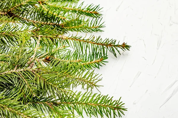 Fronteira Galhos Árvore Natal Fundo Massa Branca Conceito Cartão Saudação — Fotografia de Stock