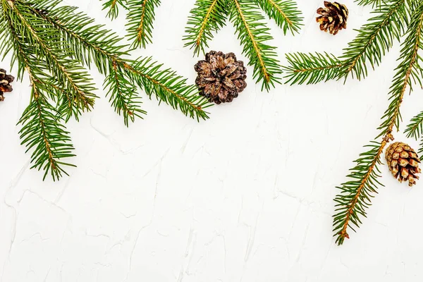 Ramas Árbol Navidad Con Conos Pino Sobre Fondo Masilla Blanca —  Fotos de Stock