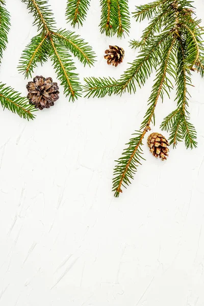 Ramas Árbol Navidad Con Conos Pino Sobre Fondo Masilla Blanca —  Fotos de Stock