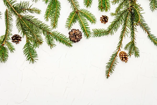 Branches Arbre Noël Avec Des Cônes Pin Sur Fond Mastic — Photo