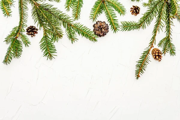 Ramas Árbol Navidad Con Conos Pino Sobre Fondo Masilla Blanca —  Fotos de Stock