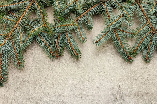 Border Christmas Tree Branches Grey Stone Background New Year Greeting — Stock Photo, Image