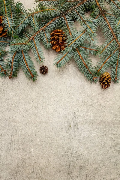 Fronteira Ramos Árvore Natal Cones Pinho Fundo Pedra Cinza Conceito — Fotografia de Stock