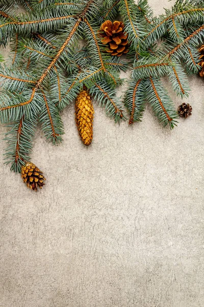 Border Christmas Tree Branches Pine Cones Grey Stone Background New — Stock Photo, Image