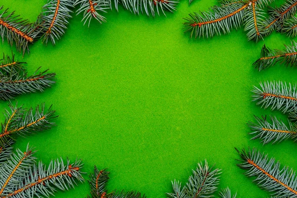 Fundo Natal Com Ramos Árvore Natal Fresco Fundo Verde Conceito — Fotografia de Stock