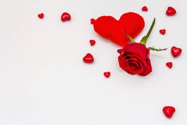 Red hearts and fresh fragrant rose isolated on white background. Valentine's day or Wedding romantic concept, top view, copy space, flat lay
