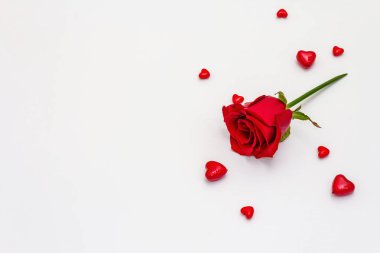 Red hearts and fresh fragrant rose isolated on white background. Valentine's day or Wedding romantic concept, top view, copy space, flat lay