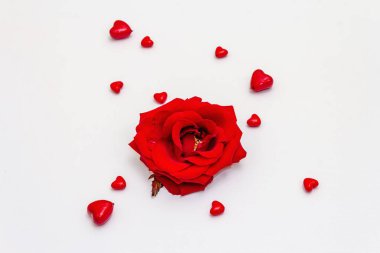Red hearts and fresh fragrant rose isolated on white background. Valentine's day or Wedding romantic concept, top view, copy space, flat lay