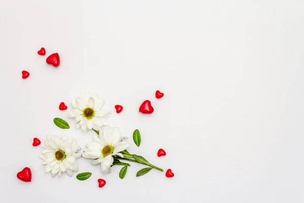 Red Hearts Fresh Fragrant Chrysanthemums Isolated White Background Valentine Day — Stock fotografie