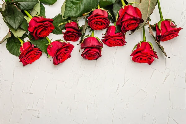 Rosas Frescas Borgoña Sobre Fondo Masilla Blanca Flores Rojas Fragantes — Foto de Stock