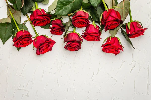 Свіжі Бургундські Троянди Білому Килимку Червоні Квіти Подарунки День Святого — стокове фото