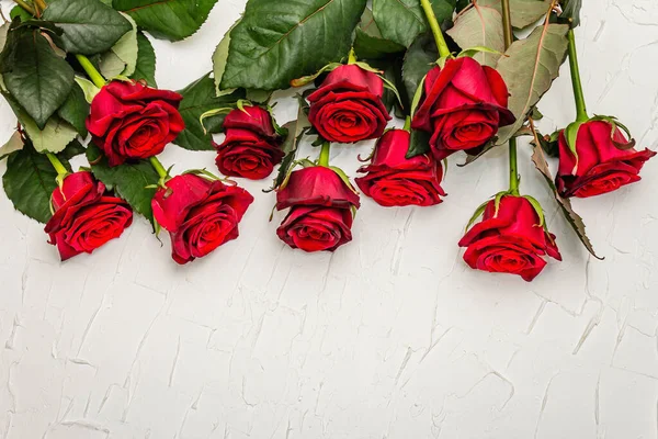 Свіжі Бургундські Троянди Білому Килимку Червоні Квіти Подарунки День Святого — стокове фото