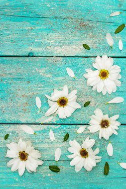 Donmuş kasımpatı ve yemyeşil yapraklı desen. Eski ahşap tahta arka plan, düz döşeme, üst manzara