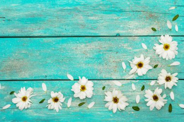 Donmuş kasımpatı ve yemyeşil yapraklı desen. Eski ahşap tahta arka plan, düz döşeme, üst manzara