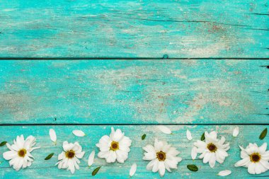 Donmuş kasımpatı ve yemyeşil yapraklı desen. Eski ahşap tahta arka plan, düz döşeme, üst manzara