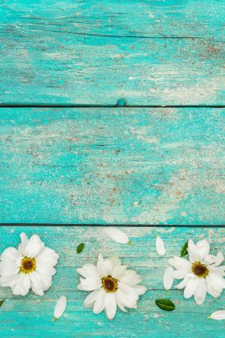 Donmuş kasımpatı ve yemyeşil yapraklı desen. Eski ahşap tahta arka plan, düz döşeme, üst manzara