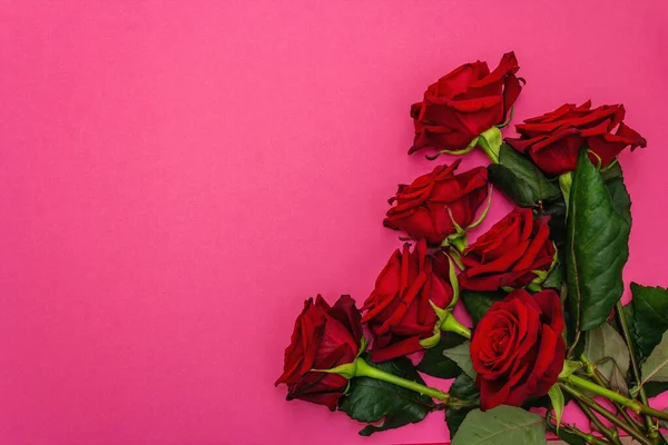 Ramo Rosas Frescas Borgoña Sobre Fondo Rosa Mate Flores Rojas — Foto de Stock