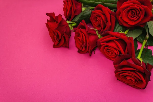 Ramo Rosas Frescas Borgoña Sobre Fondo Rosa Mate Flores Rojas — Foto de Stock