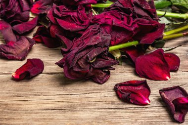 Bir buket kuru kırmızı gül. Eski tahta arka plandaki en küçük çiçek konsepti, metin için yer, kopyalama alanı