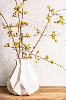 Beyaz seramik bir vazoda, taştan bir arka planda, çalı çırpı dalları açıyor. Bahar, Paskalya ve iyi ruh hali konsepti, metin için yer