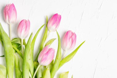 Beyaz alçı kaplamalı pembe lalelerden oluşan bir buket. Bayram hediyesi, Paskalya, doğum günü, sevgililer günü veya düğün için tebrik kartı. Tatil konsepti, metin için bir yer