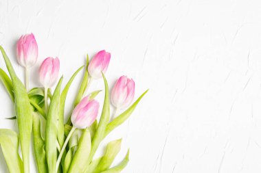 Beyaz alçı kaplamalı pembe lalelerden oluşan bir buket. Bayram hediyesi, Paskalya, doğum günü, sevgililer günü veya düğün için tebrik kartı. Tatil konsepti, metin için bir yer