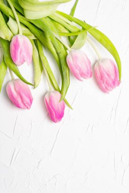 Beyaz alçı kaplamalı pembe lalelerden oluşan bir buket. Bayram hediyesi, Paskalya, doğum günü, sevgililer günü veya düğün için tebrik kartı. Tatil konsepti, metin için bir yer