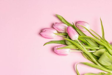 Pastel pembe arka planda yumuşak pembe laleler. Bayram hediyesi, Paskalya, doğum günü, sevgililer günü veya düğün için tebrik kartı. Tatil konsepti, metin için bir yer