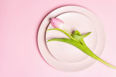 Nazik pembe arka planda laleleri olan şenlikli, yaratıcı pembe masa. Sevgililer günü, düğün, doğum günü, kadınlar ve anneler günü. Düz yatış, üst görünüm