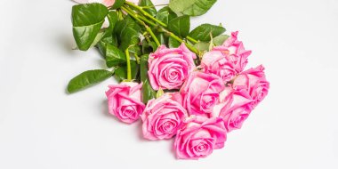 Beyaz arka planda izole edilmiş bir buket pembe gül. Düğünler, doğum günleri, 8 Mart, anneler günü ya da sevgililer günü için festival konsepti. Tebrik kartı, düz yatak, model, şablon