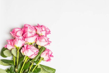 Beyaz arka planda izole edilmiş bir buket pembe gül. Düğünler, doğum günleri, 8 Mart, anneler günü ya da sevgililer günü için festival konsepti. Tebrik kartı, düz yatak, model, şablon