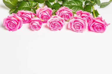 Beyaz arka planda izole edilmiş yumuşak pembe güller. Düğünler, doğum günleri, 8 Mart, anneler günü ya da sevgililer günü için festival konsepti. Tebrik kartı, düz yatak, model, şablon