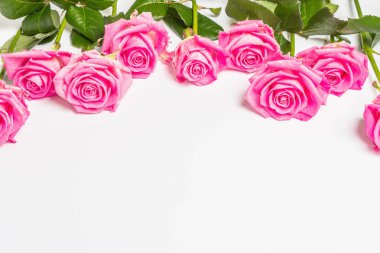 Beyaz arka planda izole edilmiş yumuşak pembe güller. Düğünler, doğum günleri, 8 Mart, anneler günü ya da sevgililer günü için festival konsepti. Tebrik kartı, düz yatak, model, şablon