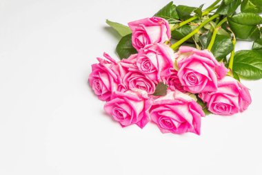 Beyaz arka planda izole edilmiş bir buket pembe gül. Düğünler, doğum günleri, 8 Mart, anneler günü ya da sevgililer günü için festival konsepti. Tebrik kartı, düz yatak, model, şablon