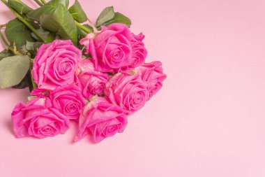 Gül rengi arka planda izole edilmiş bir buket pembe gül. Düğünler, doğum günleri, 8 Mart, anneler günü ya da sevgililer günü için festival konsepti. Tebrik kartı, düz yatak, model, şablon