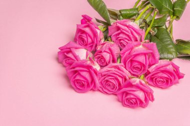 Gül rengi arka planda izole edilmiş bir buket pembe gül. Düğünler, doğum günleri, 8 Mart, anneler günü ya da sevgililer günü için festival konsepti. Tebrik kartı, düz yatak, model, şablon