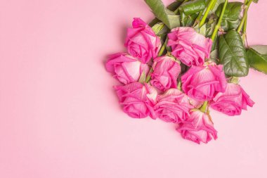 Gül rengi arka planda izole edilmiş bir buket pembe gül. Düğünler, doğum günleri, 8 Mart, anneler günü ya da sevgililer günü için festival konsepti. Tebrik kartı, düz yatak, model, şablon