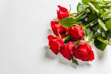 Beyaz arka planda izole edilmiş bir buket parlak kırmızı gül. Düğünler, doğum günleri, 8 Mart, anneler günü ya da sevgililer günü için festival konsepti. Tebrik kartı, düz yatak, model, şablon