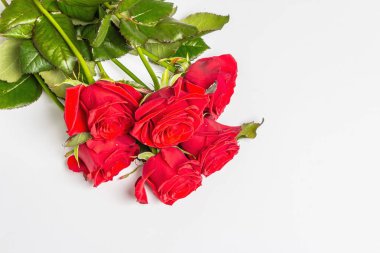 Beyaz arka planda izole edilmiş bir buket parlak kırmızı gül. Düğünler, doğum günleri, 8 Mart, anneler günü ya da sevgililer günü için festival konsepti. Tebrik kartı, düz yatak, model, şablon