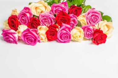 Beyaz arka planda izole edilmiş çeşitli çok renkli güller. Düğünler, doğum günleri, 8 Mart, anneler günü ya da sevgililer günü için festival konsepti. Tebrik kartı, düz yatak, model, şablon