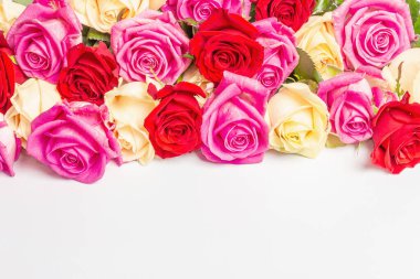 Beyaz arka planda izole edilmiş çeşitli çok renkli güller. Düğünler, doğum günleri, 8 Mart, anneler günü ya da sevgililer günü için festival konsepti. Tebrik kartı, düz yatak, model, şablon