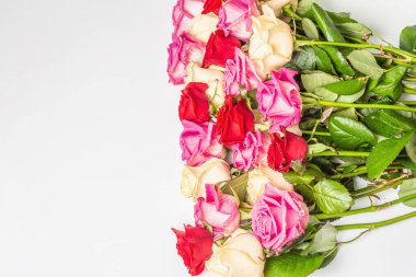 Beyaz arka planda izole edilmiş çeşitli çok renkli güller. Düğünler, doğum günleri, 8 Mart, anneler günü ya da sevgililer günü için festival konsepti. Tebrik kartı, düz yatak, model, şablon